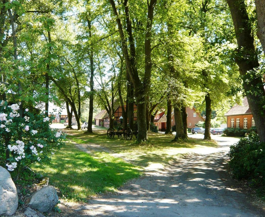 Ferienpension Lindenhof - Ferienwohnungen In Der Lueneburger Heide Marxen am Berge Esterno foto