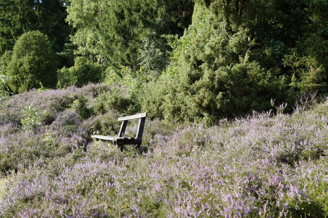 Ferienpension Lindenhof - Ferienwohnungen In Der Lueneburger Heide Marxen am Berge Esterno foto
