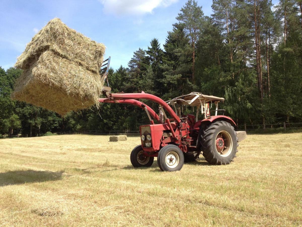 Ferienpension Lindenhof - Ferienwohnungen In Der Lueneburger Heide Marxen am Berge Esterno foto